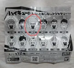 ハイキュー！！ふらっとめじるしアクセサリー　月島　蛍　新品