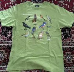 Stussy bard