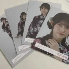 櫻坂46 向井純葉　生写真　2025年　浴衣衣装　コンプ　2