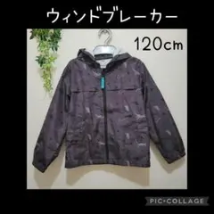 Item thumbnail for item ce827b69-b74a-4cc5-a7fb-f1017650f3b9