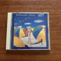 美品　PSY・S Different View　サイズ　ディファレント・ビュー