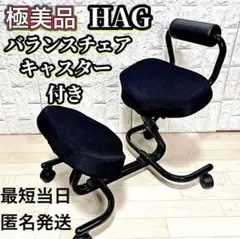バランスサポート5040　ホーグ社バランスチェア　背もたれ付き　ブルー　国新産業 HAG ホーグ バランスチェアー 5040 姿勢矯正椅子 北欧ノルウェー
