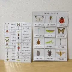 Item thumbnail for item 9bc75565-710d-4255-ab46-8a7e094fce28