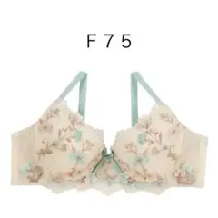 Item thumbnail for item 8d2d60fc-afe0-4e1a-8a2c-89dd63bdac48