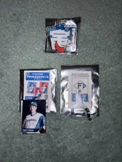 ファイターズ 伏見寅威 セコマ