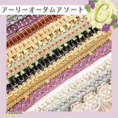 【計21ｍ以上】 Ⓒ ブレード アーリーオータムアソート セット 手芸 リメイク