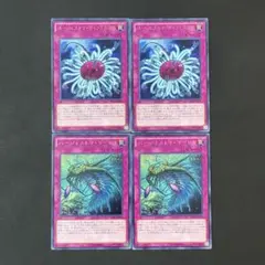 遊戯王　バージェストマ・マーレラ　ディノミスクス　字レア各2枚