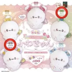 ちむむ。まほうちゅかい ふわきゅん ガチャガチャ マスコットぬいぐるみ