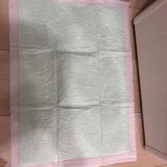 Item thumbnail for item b5c04739-b7dd-4555-99fc-4b17044110d1