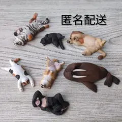 ガチャガチャ☆パンダの穴　寝シリーズ　まとめ売り