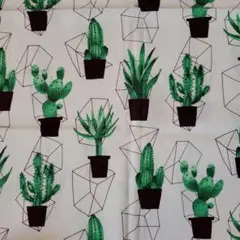 サボテン柄