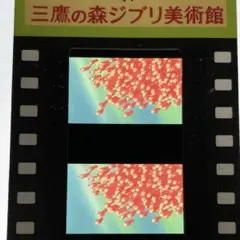 三鷹の森ジブリ美術館　入場券　崖の上のポニョ