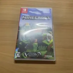 Minecraft Nintendo Switch