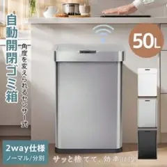 ゴミ箱 自動センサー付き フタタッチ操作 50L 大容量 蓄電池式 分別