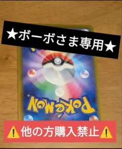 ★ボーボさま専用★⚠️他の方購入禁止⚠️