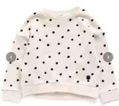 Item thumbnail for item 692dfcf0-3838-4234-be33-f77ddf1c11c5