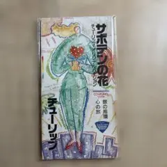 サボテンの花 チューリップCD