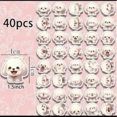 Item thumbnail for item 2a2b0beb-ec03-49f9-9f53-58436f14147a