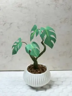 ミニチュア　観葉植物　モンステラ　紙　くねくね