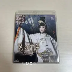宝塚歌劇団 月組 花の業平 PHOENIX RISING Blu-ray 鳳月杏