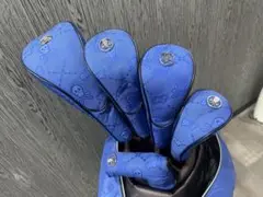 Item thumbnail for item 177f5c0e-04db-4580-8bf2-994d15bc3da5