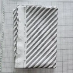 CHEEPY CLOTH　シーピークロス　スパンフライス　斜めボーダー