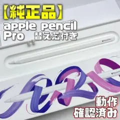 動作確認済み【純正品】Apple Pencil Pro 本体＋替え芯2本＋箱付き