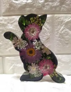 【訳あり】固まるハーバリウム ねこの中のお花畑