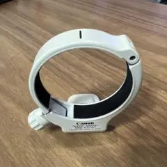 Item thumbnail for item 5b53d338-784c-4b77-be40-ec461a81592e