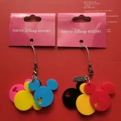 TOKYO DISNEY RESORT ストラップ 2点セット