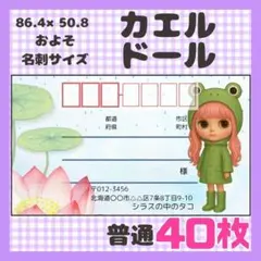 【カエルドール】宛名シール　差出人シール　普通サイズ　40枚　人形　ドール