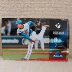 北海道日本ハムファイターズ　Vフォト　柴田獅子　2025/08/23