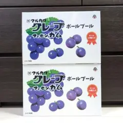 【新品未開封】ボールプール フーセンガム グレープ 2個セット