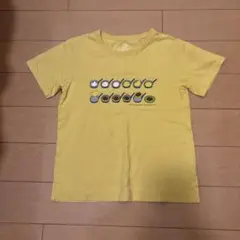 しろくまちゃん Tシャツ
