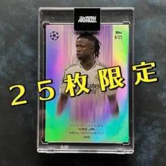 【25枚限定】 ヴィニシウス TTF 《Fusion》
