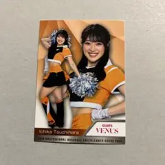 Item thumbnail for item f83e1740-82b4-4825-8a0d-2d1bd62323d1