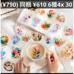 多彩なデザイン ステッカーセット 6種 4x30枚