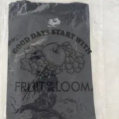 unused Fruit of the loom pack T サイズ4