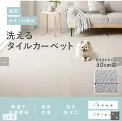 タイルカーペット 50cm×50cm　アイボリー　SUMINOE RUG RUG