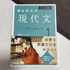 大学入試問題集柳生好之の現代文ポラリス 1
