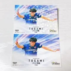 Item thumbnail for item deee55bb-1fc5-4ca1-8389-d5c44a39a153