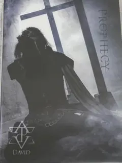 DAVID / PROPHECY ★会場限定盤★