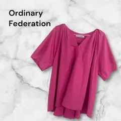 Ordinary Federation ピンク Vネック 半袖 42