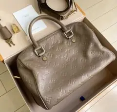 Louis Vuitton Speedy 25 Bandolier ハンドバッグ