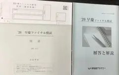 早慶ファイナル模試　※国語のみ　2020年11月