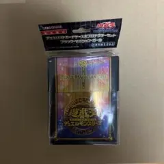 遊戯王 デュエリストカードケース&プロテクターセット