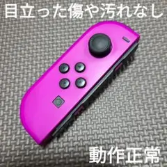 Nintendo Switch　ジョイコン　パープル
