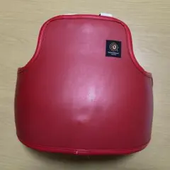 ✨少林寺拳法認定✨2枚胴✨ボディプロテクター✨防具 ✨少林寺拳法認定✨2枚胴✨ボディプロテクター✨防具 - メルカリ