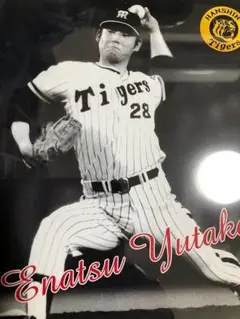 送料込み）阪神タイガース　江夏豊　ポートレート