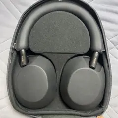 Item thumbnail for item 8b9a6cac-a34d-4632-8819-3a625e21dc64